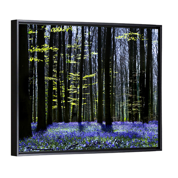 Bluebell Symphony Wall Art as a framed canvas