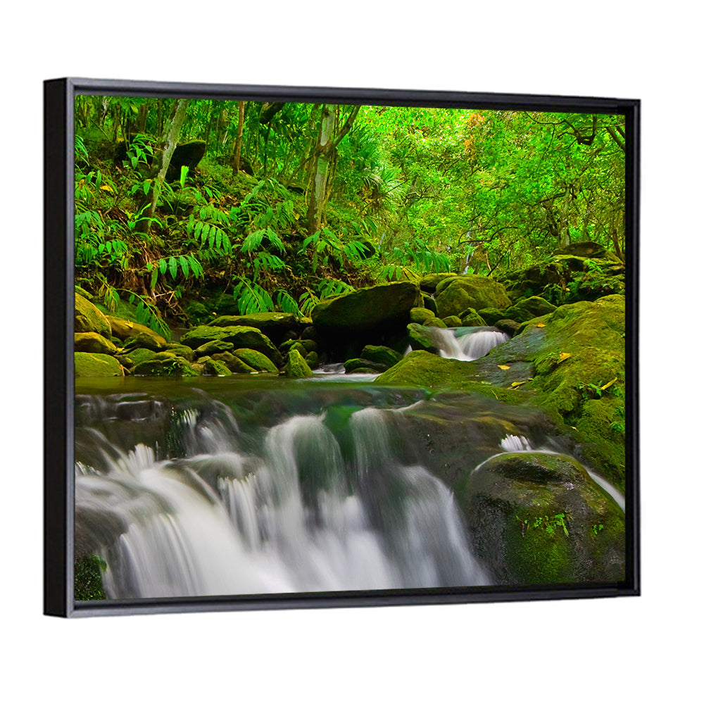 Forest Stream Wall Art