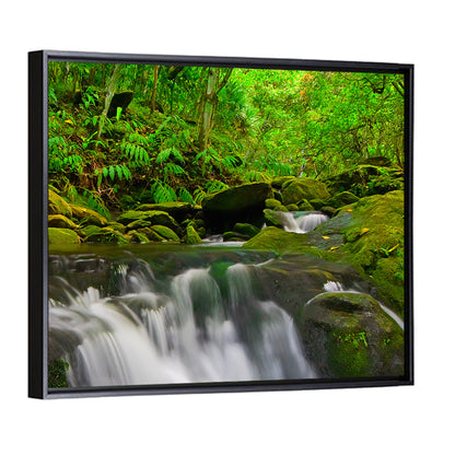 Forest Stream Wall Art