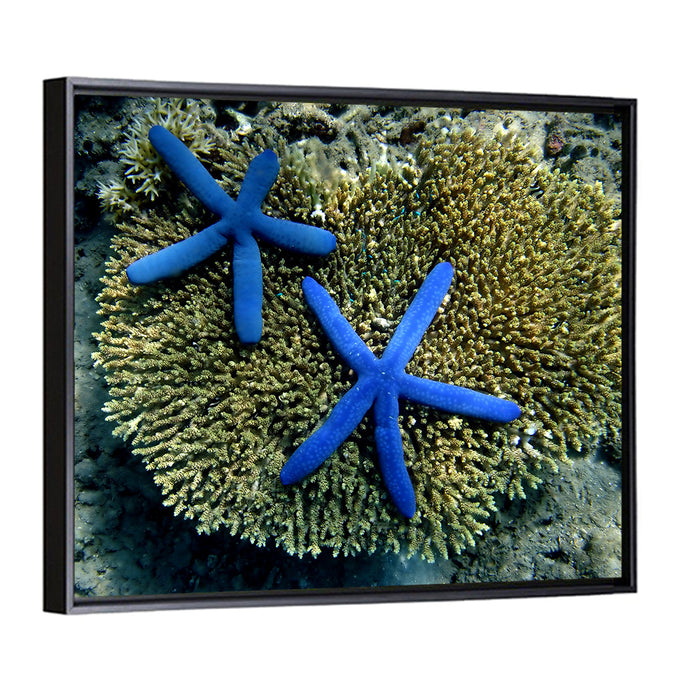 Blue Starfish Wall Art as a framed canvas