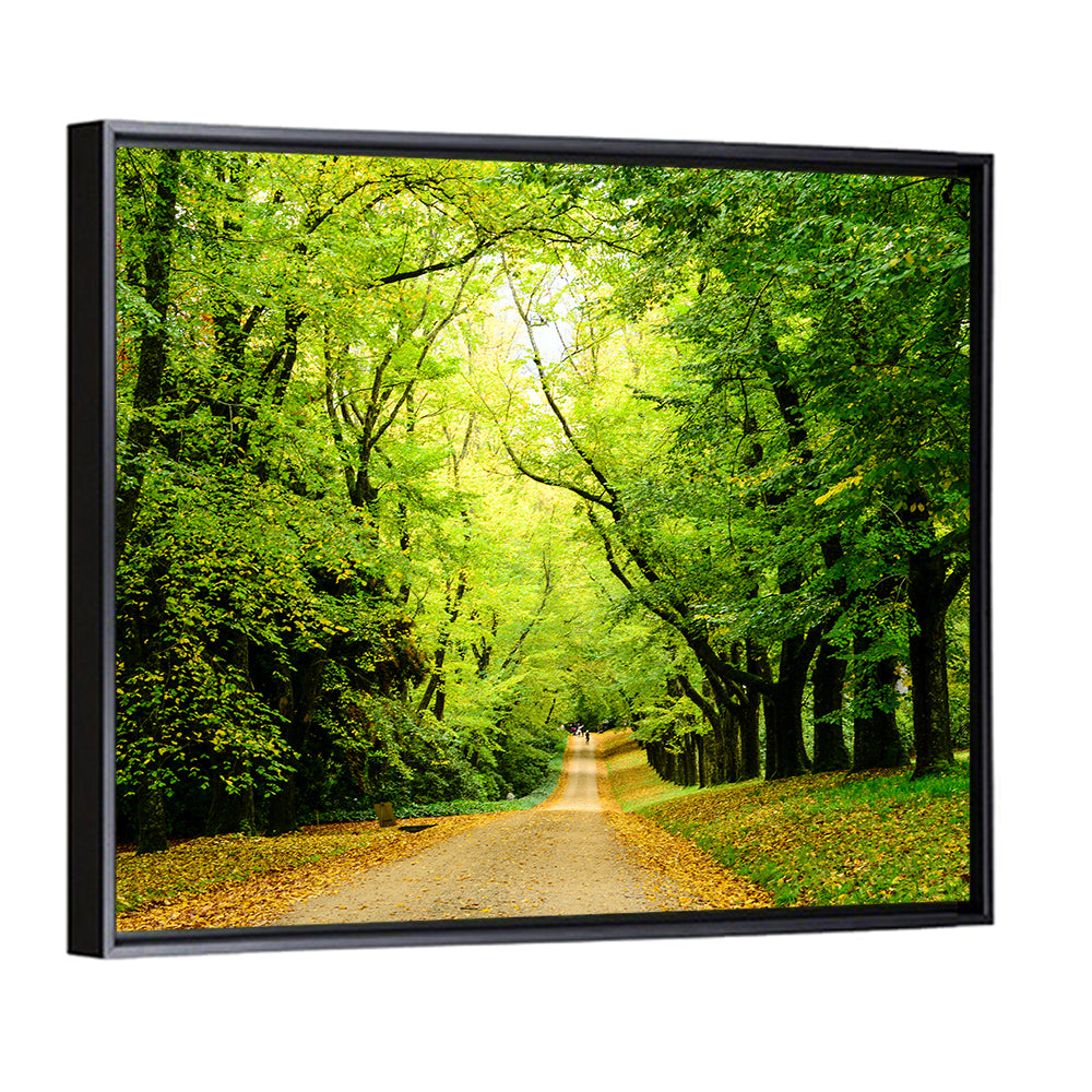 Sunlit Forest Pathway Wall Art