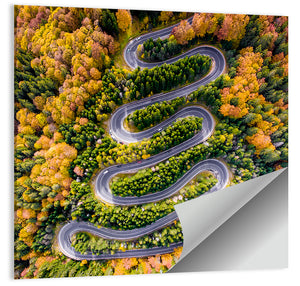 Winding Forest Road Wall Art