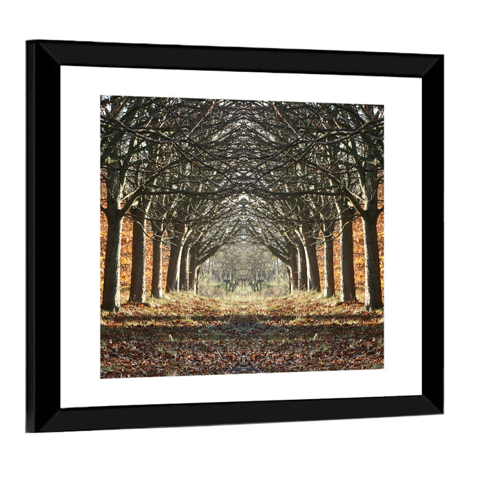 Danish Autumn Tree-lined Path Wall Art as a framed print