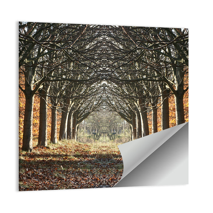 Danish Autumn Tree-lined Path Wall Art as a poster print