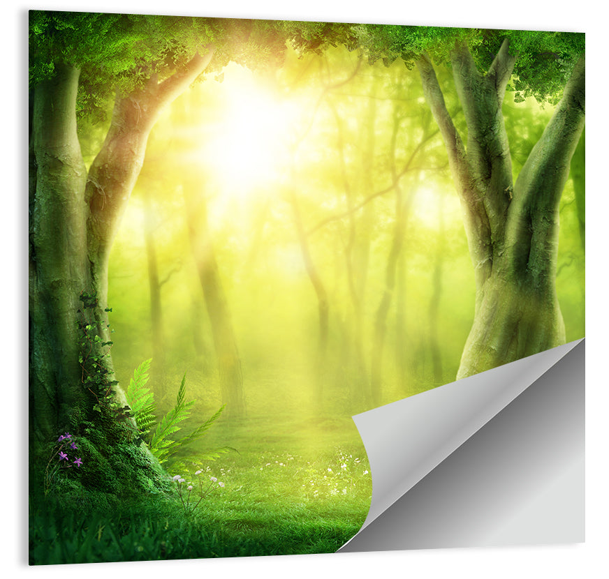 Enchanted Forest at Sunrise Wall Art
