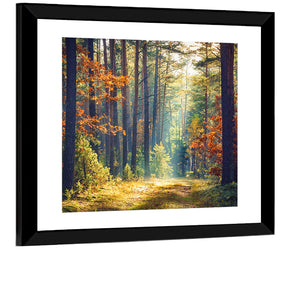 Autumn Forest Wall Art