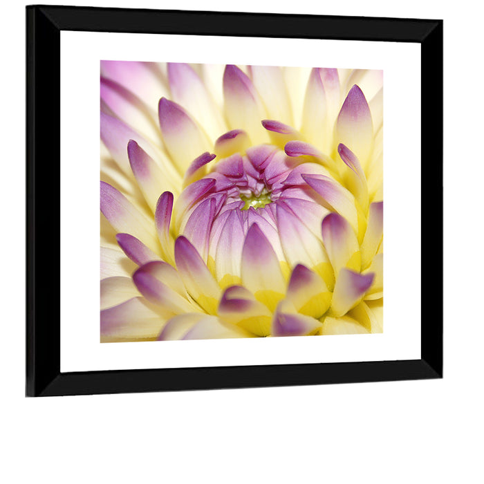 Dahlia Macro Portrait Wall Art as a framed print