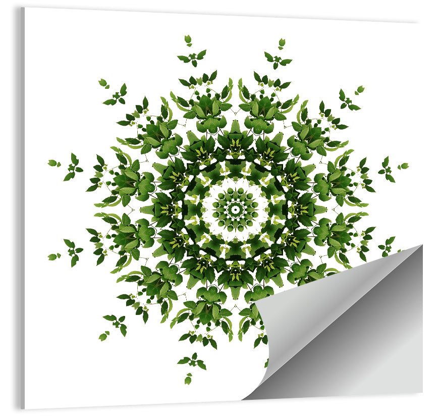Botanical Green Leaf Mandala Wall Art