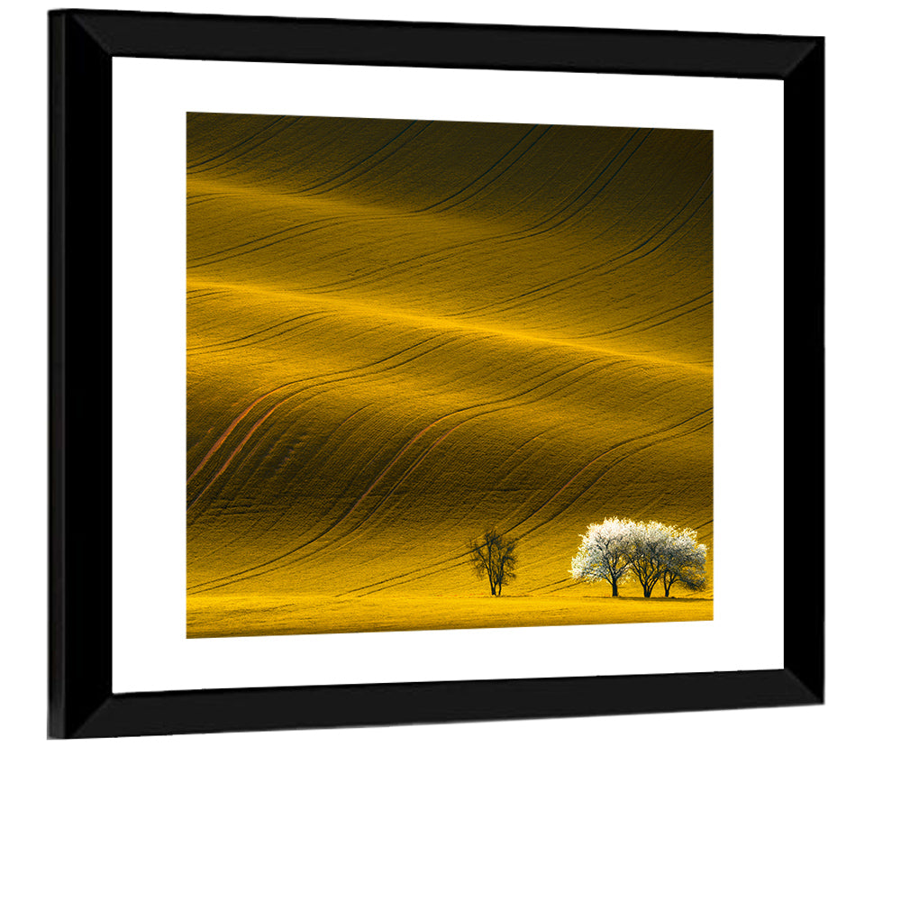 Golden Hour Rapeseed Field Wall Art
