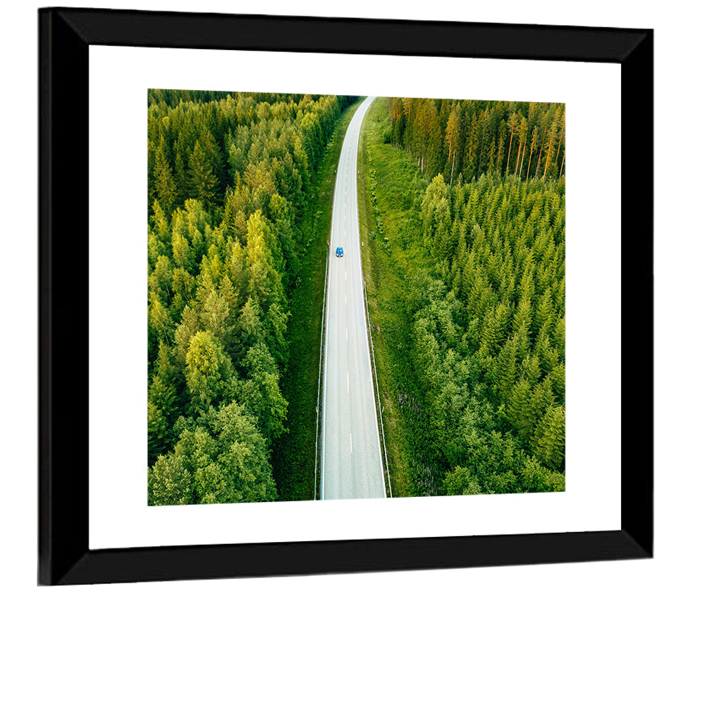 Road Through Forest Wall Art