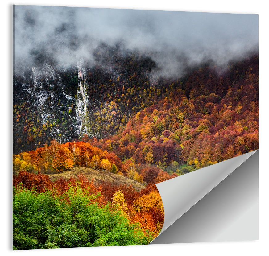 Carpathian Mountains Autumn Wall Art