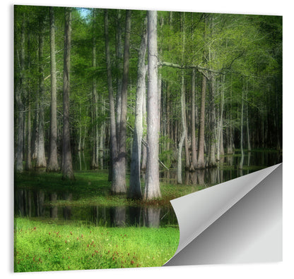 Lush Green Swamp Wall Art