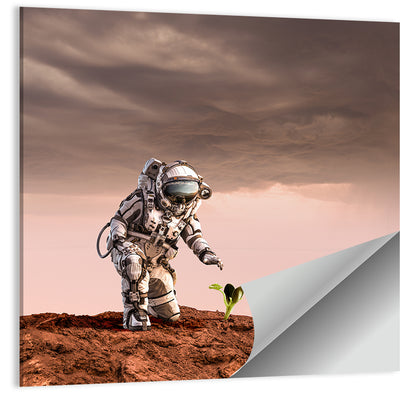 Mars Life Concept Wall Art