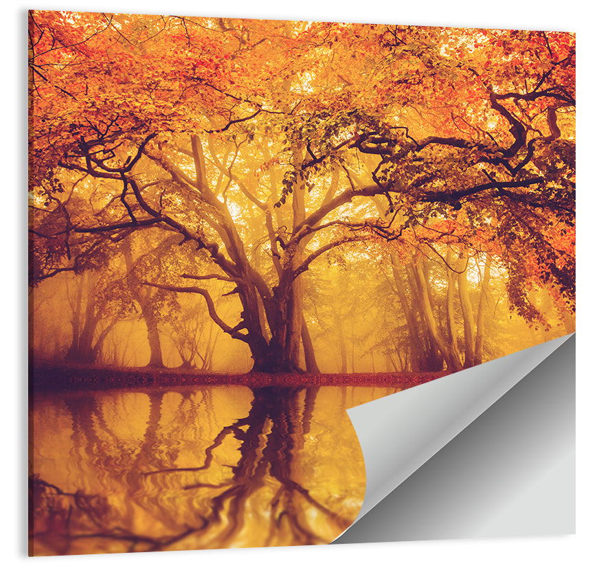Misty Fall Forest Wall Art