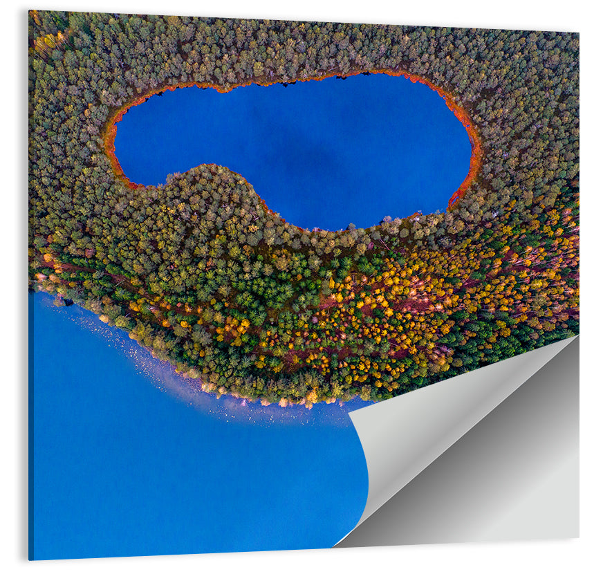 Autumn Forest Lake Wall Art