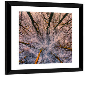 Misty Forest Abstract Wall Art