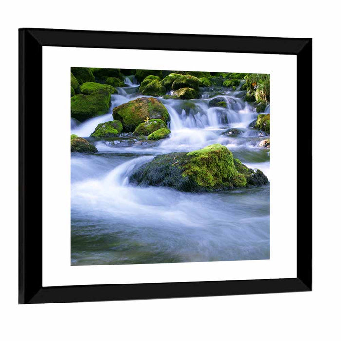 Mossy Forest Stream Wall Art as a framed print