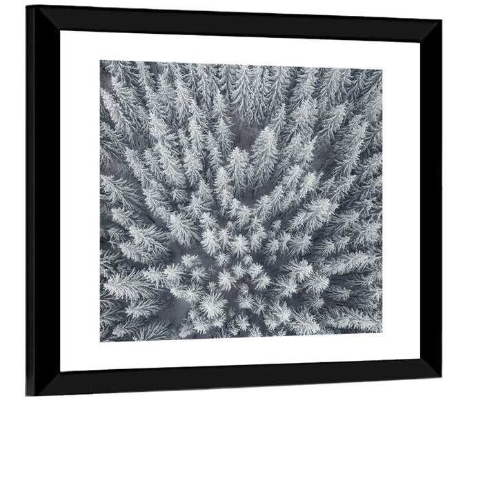 Snow Covered Pine Forest Wall Art as a framed print