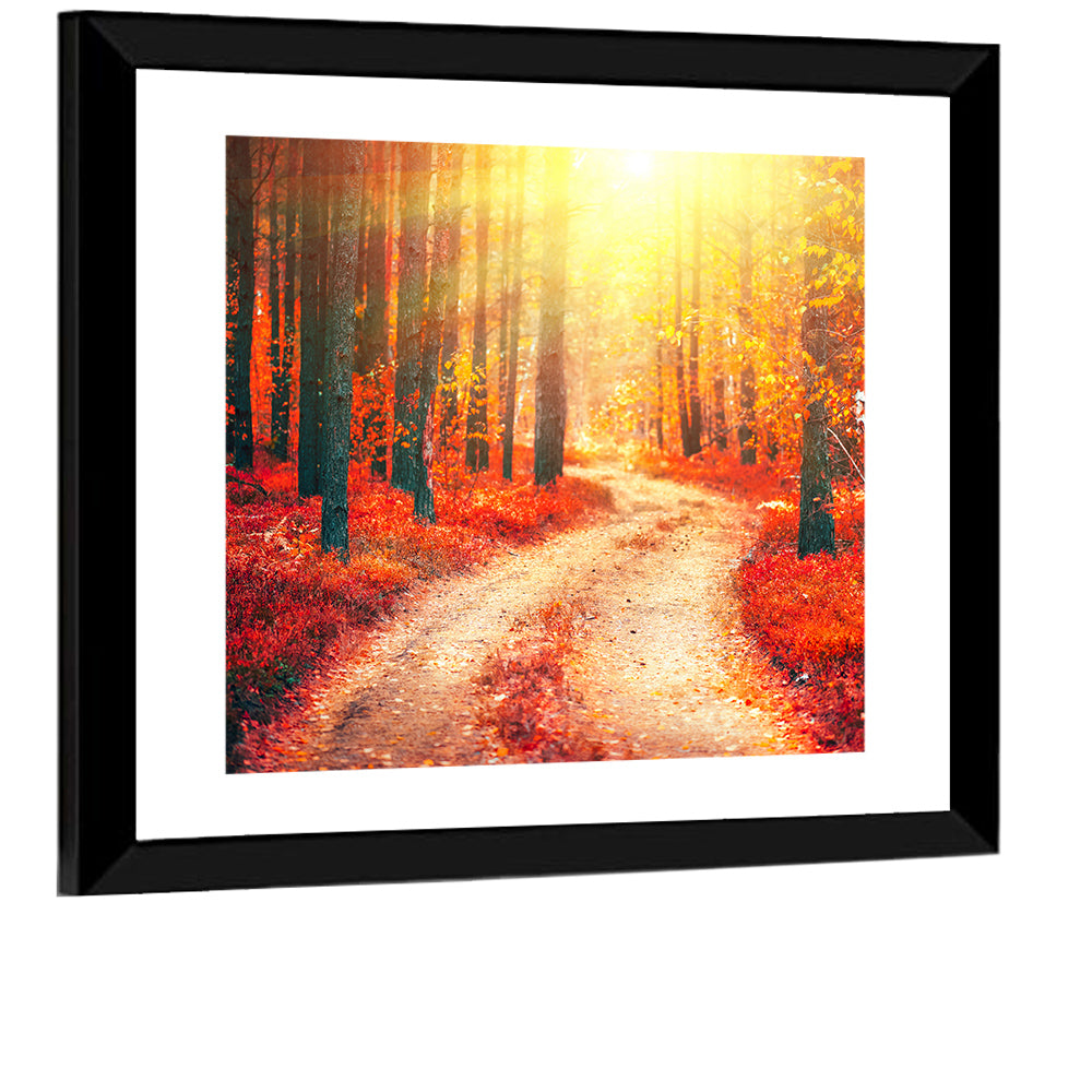 Golden Path Through Autumn Woods Wall Art