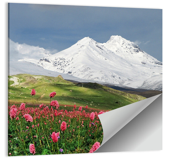 Caucasus Spring Wildflower Meadow Wall Art as a poster print