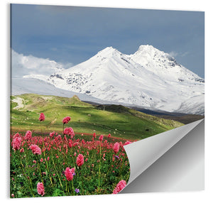 Caucasus Mountain & Spring Wall Art