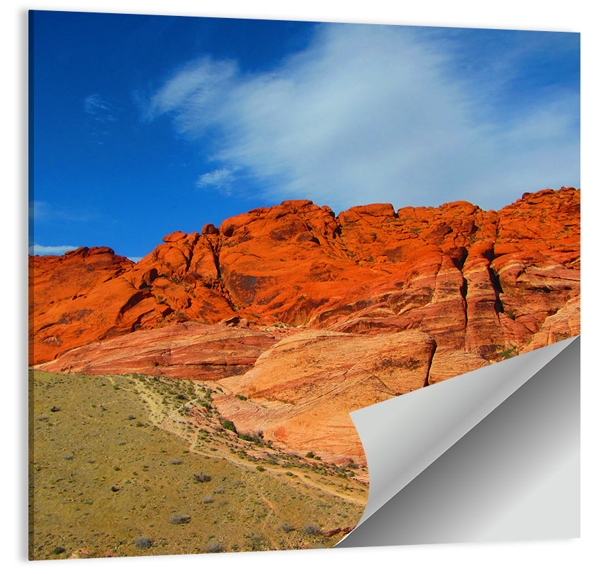 Red Rock Canyon Nevada Wall Art