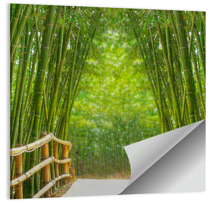 Bamboo Alley Wall Art as a poster print