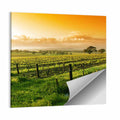 Barossa Valley Vineyard at Sunrise Wall Art