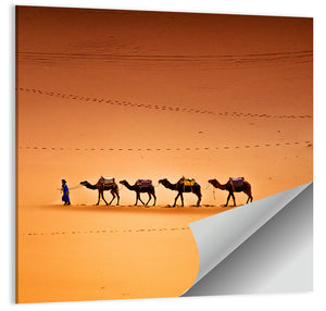Camels In Sahara Desert Wall Art