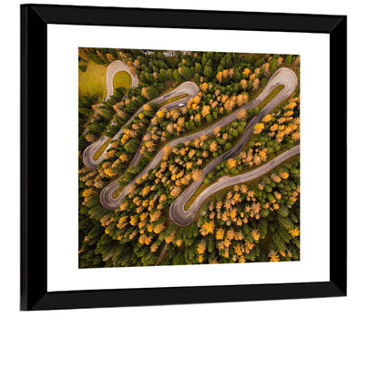 Curvy Forest Road Wall Art