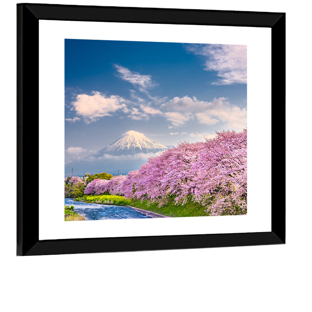Mount Fuji Cherry Blossoms Wall Art