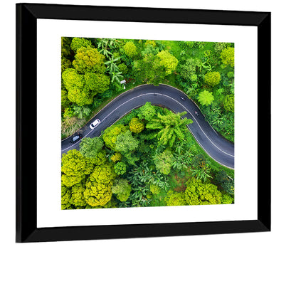 Summer Forest Road Aerial Wall Art