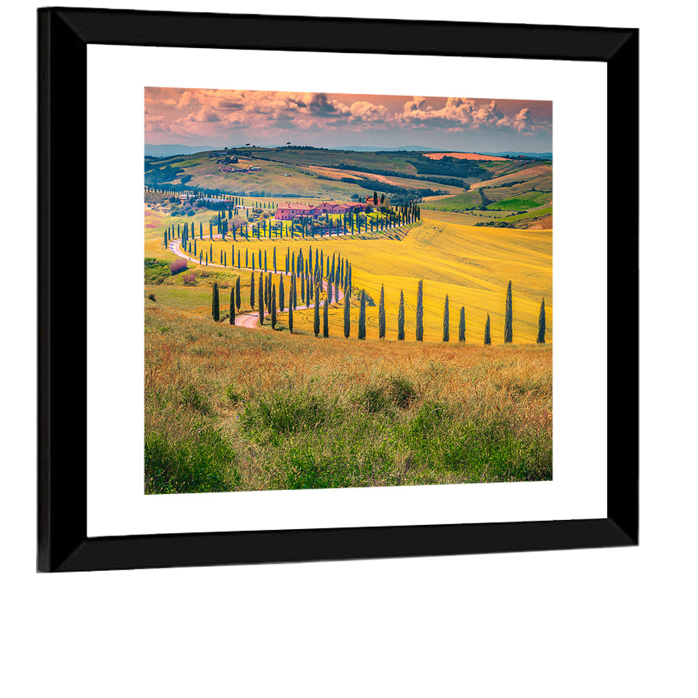 Val D'orcia Cypress Road Wall Art