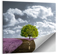Lavender Field Crossroads with Lone Tree Wall Art
