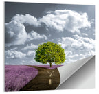 Lavender Field Crossroads with Lone Tree Wall Art
