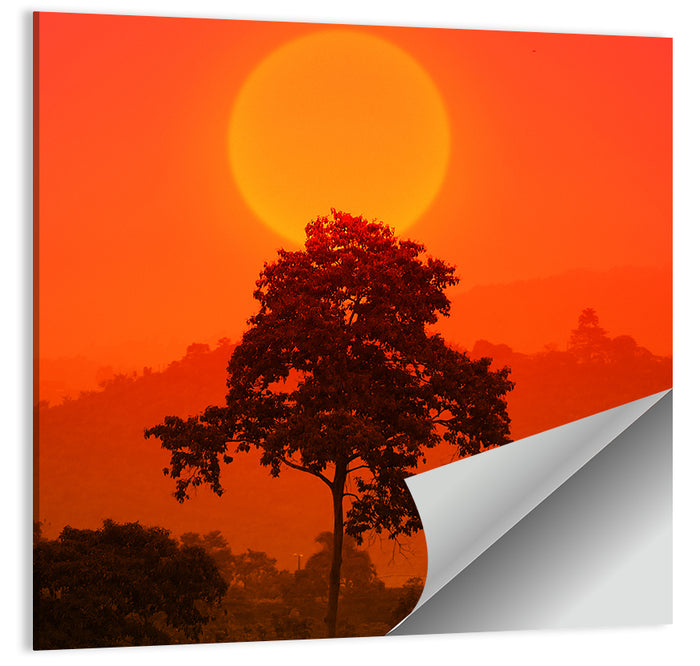 African Summer Sunset Wall Art as a poster print