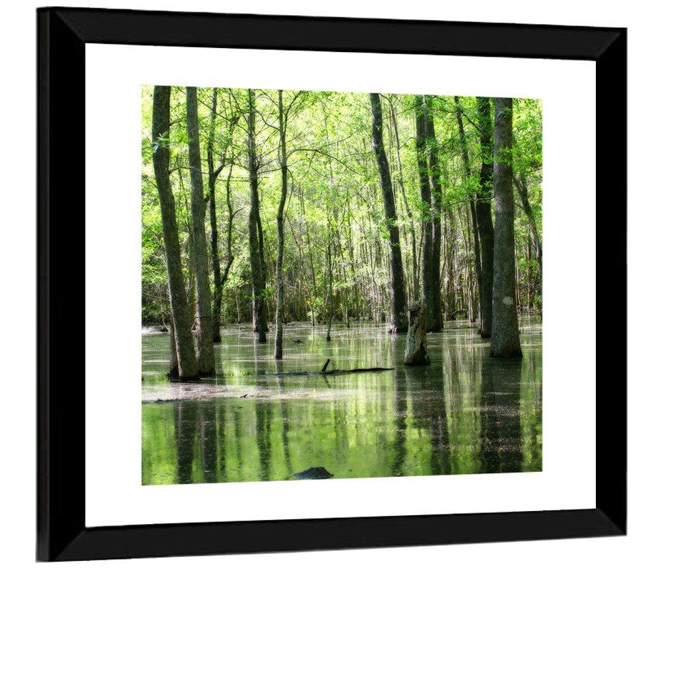 Green Swamp Forest Wall Art