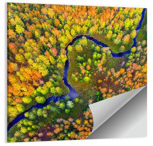 Autumn Forest River Wall Art