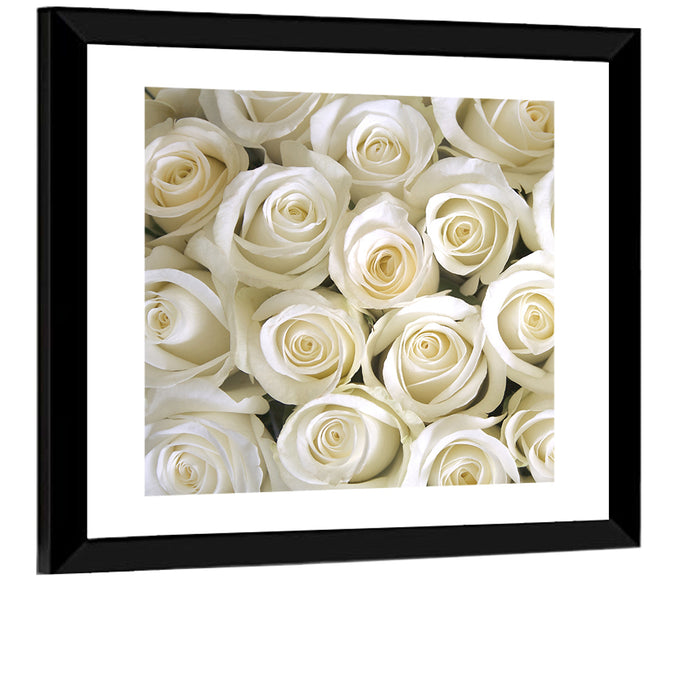 Silky Roses Wall Art as a framed print
