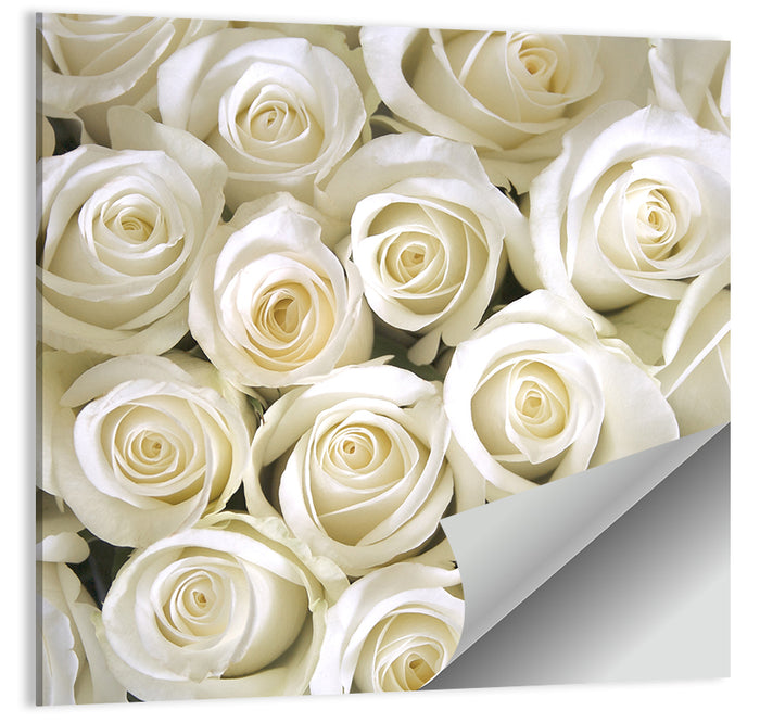 Silky Roses Wall Art as a poster print