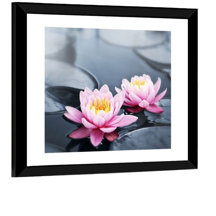 Pink Water Lilies Wall Art as a framed print