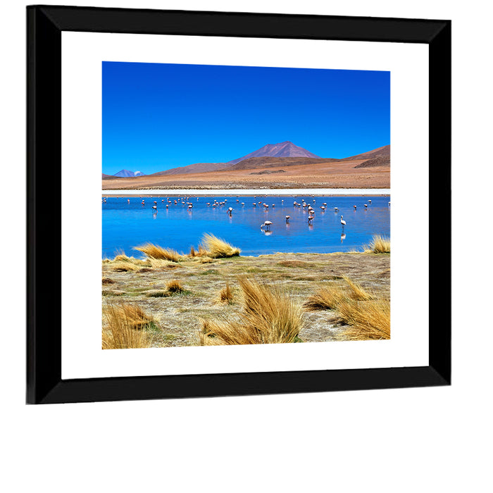 Laguna Flamingo Lake Wall Art as a framed print