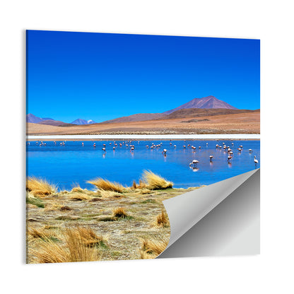 Laguna Desert Lake Wall Art