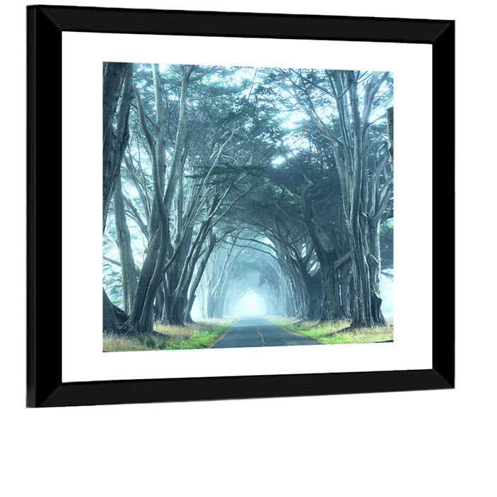 Foggy Cypress Tree Tunnel Wall Art as a framed print