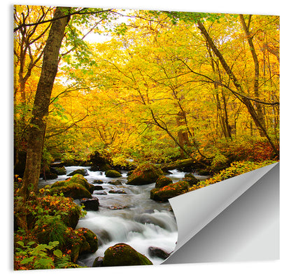 Oirase River Wall Art