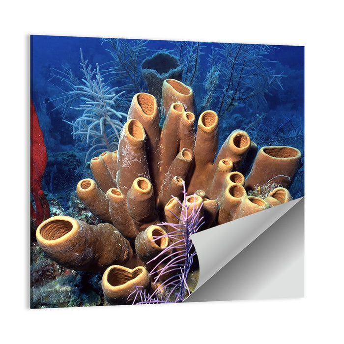 Belize Reef Sponge Scene Wall Art as a poster print