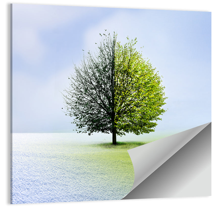 Winter to Spring Tree Wall Art
