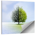 Winter to Spring Tree Wall Art