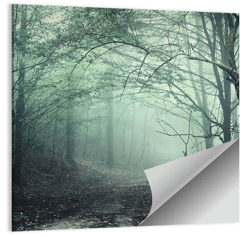 Creepy Forest Wall Art