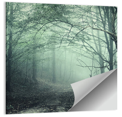 Creepy Forest Wall Art
